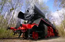 Naturpark S�dgel�nde Berlin Sch�neberg (Ehemaliger Rangierbahnhof). Eine ausgediente Henschel 50 3707-2 f�r den Parkbesucher restauriert. 09.03.2011