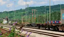Auf Gbf Weil am Rhein findet mann noch viele viele formsignale, aufnahme ist von 06.08 2010.