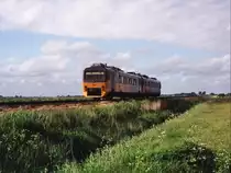 Wadlopers 3108 und 3103 mit einem Regionalzug zwischen Leeuwarden und Sneek bei Wiuwert am 15-05-2006. Bild und scan: Date Jan de Vries.
