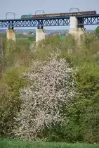 HLE 28 und gemischter G�terzug in Richtung Belgien auf der Moresneter Br�cke am 15. April 2011.