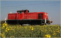 294 849 als Tfzf -> Plattling muss am Roten Signal vor der Einfahrt in Mangolding halten. (19.04.2011)