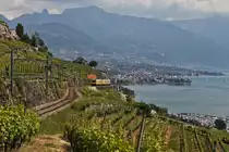 Wer im Train de Vignes in Fahrtrichtung links sitzt, hat auf der gesamten Strecke von Vevey nach Chexbres eine wunderbare Aussicht auf den Genfersee und die Rebberge des Lavaux. So auch die Fahrg�ste der S31 12074, die sich hier kurz vor dem 20 Meter langen Tunnel Salanfe befindet. (21.Mai 2011)