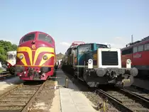 K�f III neben CFL 1604 in Koblenz L�tzel am 21.5.2011