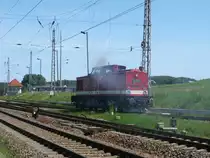 Nachdem die 01 0509 mit dem Sonderzug,von Berlin Wannsee,am 04.Juni 2011,in Bergen/R�gen eingefahren war,konnte sich die PRESS 112 565 an den Zug setzen,um den Zug,ab Bergen/R�gen,als Zuglok bis nach Putbus zubringen,die zweite Lok war n�tig da es im Regelspurteil in Putbus kein Umlaufgleis mehr gibt.Die 01 blieb �brigens als Schlu�lok am Zug.