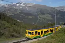 Am 21.5.11 erreicht ein Pendelzug bestehend aus dem Bt 244 und dem BDeh 4/4 120 die Wengernalp.
