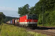 1144 204 mit einem KLV Zug am 05.06.2011 in A�ling.