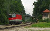�BB 1144 203 als Tfzf Richtung Rosenheim, in Assling (Obb); 28.05.2011