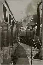 Britisches Dampfbahnambiente erlebt man auch noch im Jahr 2011.
(16.05.2011)