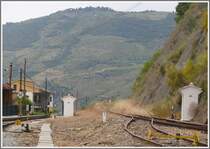 Das Schmalspurgleis Richtung Mirandela w�chst langsam aber sicher zu. (17.05.2011)