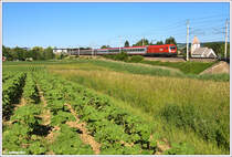 �BB IC 541 AMA G�tesiegel von Salzburg nach Wien Westbahnhof bei Lanzendorf/Kirchstetten, 7.6.2011