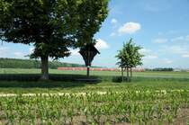 218 464 am 04.06.11 mit der RE aus F�ssen am Aubinger Marterl bei M�nchen