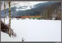 1099 007 mit R 6813 bei der Pielachbr�cke in Steinklamm. 13.2.2010