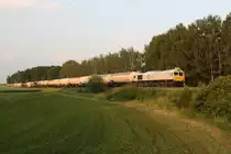 Bevor die Sonne am 10.06.11 abends 10 nach Acht im Begriff war, sich hinter den Baumwipfeln zu verstecken, kam um 20:11 Uhr gerade noch rechtzeitig 247 043-3 mit ihrem gemischten G�terzug nach M�nchen aus Markt Schwaben heraus und steuerte Poing an.
