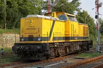 V100.01(202 481-8)abgestellt im Bahnhof Karow(Meckl)und wartet auf den n�chsten Einsatz von Karow(Meckl)nach Meyenburg.(11.06.2011)