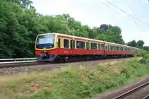 481 043 - 5 am 12.6.2011 hinter Abzw Kohlhaasenbr�ck und Wannsee, Richtung Wannsee. Aus dem Traditionszug.ev aufgenommen.