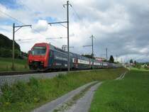 Sonderverkehr Jodlerfest 2011 Interlaken: Dreifachtraktion DPZ (Re 450 041, 063 und 052) als EXT 30225 (Z�rich-Interlaken Ost) zwischen Spiez und Faulensee, 19.06.2011. In der hintersten Einheit ist ein neuer Niederflurwagen der SZU eingereiht.