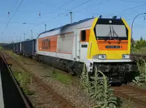 LOCON`s sch�ne Maxima stand am Morgen,vom 28.Juni 2011,in Bergen/R�gen.