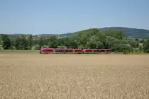 Zwei unbekannte 642 als RB 58733 N�rnberg-Nordost-Gr�fenberg,aufgenommen am 27.06.2011 zwischen Forth und R�sselbach.