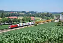 Mit einem G�terzug - wahrscheinlich 54795- war am 26.06.2011
die 1116 198 bei Wartberg an der Krems zu sehen.