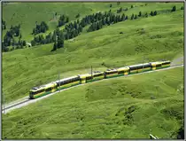 Ein Zug der Wengernalpbahn auf dem Weg zur Kleinen Scheidegg, aufgenommen am 19.07.2010.