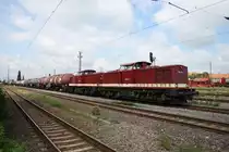 Vom Bahnsteig in Magdeburg Eichenweiler aus gesehen kam mir LEG 202 484 und 202 425 am 5.7.11 entgegen. Lieben Gru� an den netten TF !