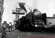 MAV - Die Lok 424.309 hat Ruhe f�r einige Stunden.
Budapest - Herbst 1966  (Foto : J.J. Barbieux)