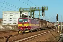 CD war nicht genug. 372 012 am 20.05.05 in Pirna. Warum die CD das gef�llige Logo ersetzt hat, erschlie�t sich nicht jedem.