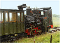 24.Juli, 1800m, Regen, Wind und 2 ... der Schneeberg lsst gren ;O)
Zahnraddampflok 999.05 fhrt auf der Schneebergbahn von Puchberg am Schneeberg nach Hochschneeberg. 
Hochschneeberg 24.7.2011
