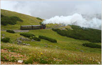 24.Juli, 1800m, Regen, Wind und 2 ... der Schneeberg lsst gren ;O)
Zahnraddampflok 999.05 fhrt auf der Schneebergbahn von Puchberg am Schneeberg nach Hochschneeberg. 
Hochschneeberg 24.7.2011