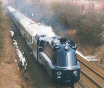 Zuf�llige Begegnung im M�rz 1999
Mehr Fotos auf meiner Homepage http://home.vr-web.de/Bruno.Mueller