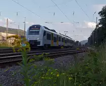 460 503-.6 (Siemens Desiro ML II) der trans regio MittelrheinBahn (MRB 26) f�hrt am 18.08.2011 auf der linken Rheinseite, hier kurz vorm Bf. Brohl, abw�rts in Richtung K�ln. 