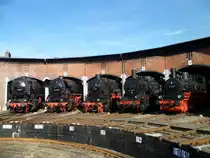 43 001, 44 1338, 58 261, 57 3297 und 91 896  waren am 20.08.11 beim 21. Heizhausfest in Chemnitz-Hilbersdorf zusehen. 

