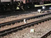 Die Bahnhofskatze,von Bergen/R�gen,bei ihrer abendlichen Bahnhofsrunde,am 20.August 2011,sa� nicht st�rend in einer Weiche.