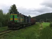 742 254-6 und 742 092-0 mit G�terzug Mn 83432 Trutnov Střed-Vrchlabi bei Letn� am 10-8-2011.