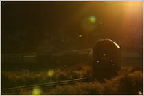 Impression von Hercules 2016 046 mit Hackschnitzelleerzug von P�ls nach Zeltweg. 
Sillweg 16.8.2011