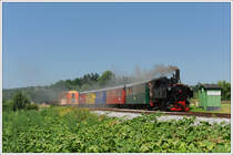 Der Stainzer Flascherlzug am 9.7.2011 kurz nach Preding in Wohlsdorf aufgenommen. Im Gegensatz zu meinem Bild vom Samstag den 3.9.2011 konnte man den �hlk�rbis zu diesem Zeitpunkt noch als Speisek�rbis verwenden.