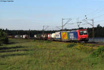 01.09.2011: Die 482 008-0 mit einem gemischten G�terzug Richtung S�den kurz vor Wagh�usel.