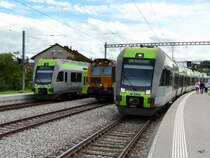 bls  / Scheuchzer - Fahrzeugtreff im Bahnhof Kerzers am 07.08.2011
