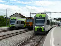 bls  / Scheuchzer - Fahrzeugtreff im Bahnhof Kerzers am 07.08.2011