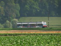 asm Seeland - Triebwagen Be 2/6  501 unterwegs bei Siselen am 03.08.2011