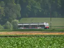 asm Seeland - Triebwagen Be 2/6  501 unterwegs bei Siselen am 03.08.2011