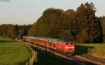 218 493-5 mit dem RE 57460 (M�nchen Hbf-Kempten(Allg�u)Hbf) bei G�nzach 17.8.11