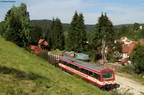 VT 43 der HzL mit einem Fotozug in  M�gerkingen 18.8.11