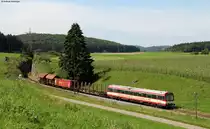 VT 43 der HzL mit einem Fotozug bei Kohlstetten 18.8.11