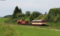VT 43 der HzL mit einem Fotozug bei Kohlstetten 18.8.11