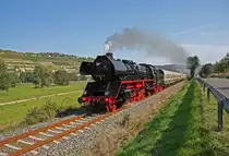 Mit den Fahrg�sten war wohl auch das Rotk�ppchen in der Weinstadt aus ihrem Express ausgestiegen, denn hier zwischen Freyburg und Balgst�dt habe ich am 25.09.2011 trotz des sch�nen Wetters nur noch die Gro�mutter und den Wolf getroffen... 