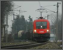 1116 123 mit einem GZ kurz vor Gloggnitz am 26.2.2006. Alles andere als optimal waren an diesem Tag die Wetterverh�ltnisse.