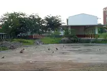 Wo heute ein Erweiterungsbau des Sirirat Hospital steht, sind am 02.November 2005 die Gleise der Thon Buri Station bereits abgetragen, aber man kann noch Gütermagazin und Rampen erkennen.