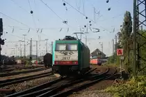 Die Cobra 2817 kommt als Lokzug aus Belgien und f�hrt in Aachen-West ein bei Sommerwetter.
1.10.2011