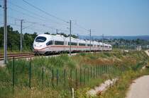 ICE Frankfurt-Br�ssel f�hrt durch den Gr�nhaut bei Limbourg (Belgien); (Juni 2009, kurz nach Er�ffnung der neuen Schnellstrecke).